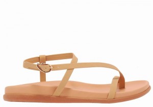 Beige Ancient Greek Sandals Aimilia Women Back-Strap Sandals | IWM4263HI