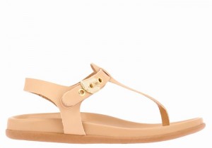 Beige Ancient Greek Sandals Alki Flip Flop Women Back-Strap Sandals | VTK3583YF