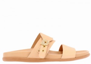 Beige Ancient Greek Sandals Latria Women Slide Sandals | ZRI579TB