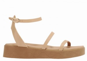 Beige Ancient Greek Sandals Nissida Leather Women Platform Sandals | QYM3054VN