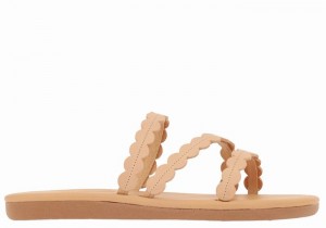 Beige Ancient Greek Sandals Oceanis Women Slide Sandals | VCT814RE