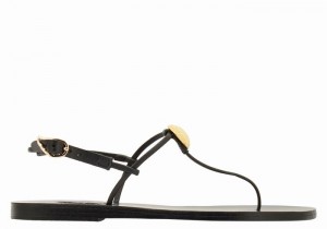Black Ancient Greek Sandals Dimitra Flip Flop Women Back-Strap Sandals | IHI4328EC