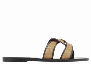 Brown Black Ancient Greek Sandals Desmos Women Slide Sandals | FPK7169MQ