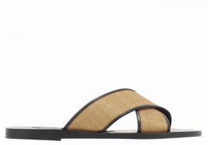 Brown Black Ancient Greek Sandals Thais Women Slide Sandals | EWQ3214AT