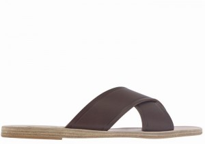 Coffee Ancient Greek Sandals Thais Women Slide Sandals | XNI8644FC