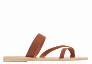 Dark Brown Ancient Greek Sandals Daphnae Leather Women Slide Sandals | QEV3691XM