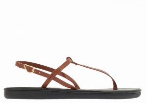 Dark Brown Ancient Greek Sandals Lito Flip Flop Women Back-Strap Sandals | DYX6468HS