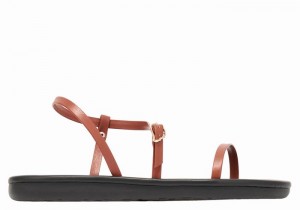 Dark Brown Ancient Greek Sandals Niove Women Back-Strap Sandals | DJW421SU