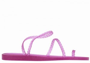 Purple Ancient Greek Sandals Eleftheria Women Braided Sandals | WFR5329OU