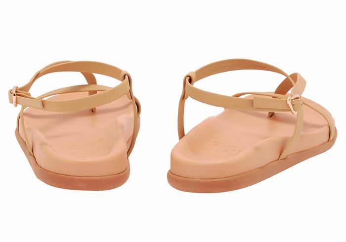 Beige Ancient Greek Sandals Aimilia Women Back-Strap Sandals | IWM4263HI