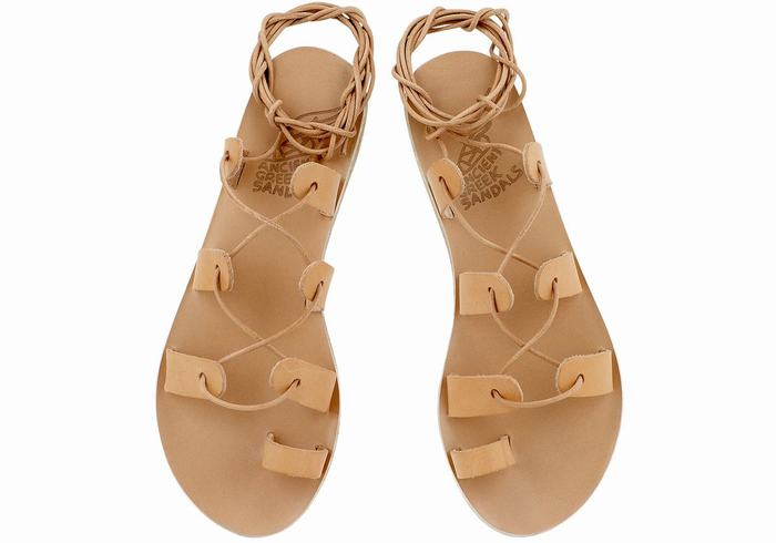 Beige Ancient Greek Sandals Alcyone Leather Women Gladiator Sandals | FYW4086SZ