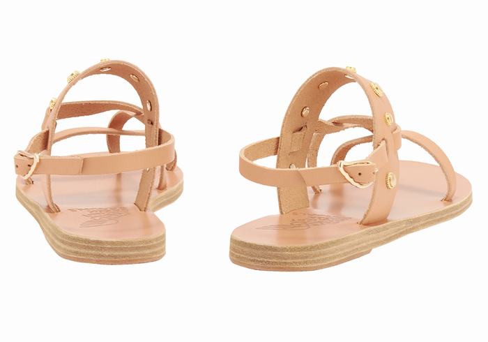 Beige Ancient Greek Sandals Alethea Bee Women Back-Strap Sandals | NJO7635UY