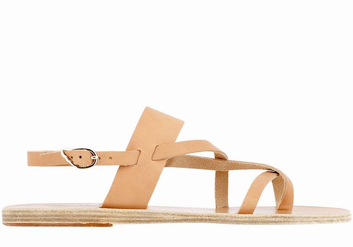 Beige Ancient Greek Sandals Alethea Leather Women Back-Strap Sandals | CBF3965FA