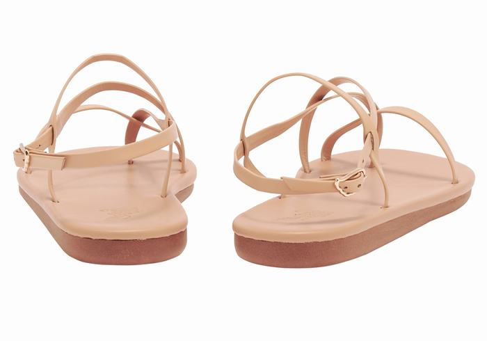 Beige Ancient Greek Sandals Alethea Women Back-Strap Sandals | XHF7322UZ