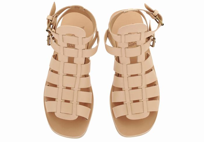 Beige Ancient Greek Sandals Alexandros Leather Men Fisherman Sandals | RDB8581RK