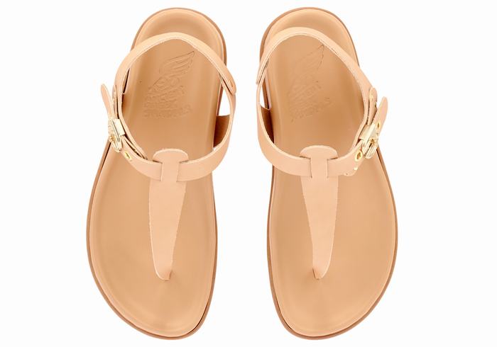 Beige Ancient Greek Sandals Alki Flip Flop Women Back-Strap Sandals | VTK3583YF