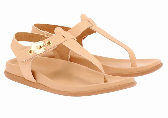 Beige Ancient Greek Sandals Alki Flip Flop Women Back-Strap Sandals | VTK3583YF