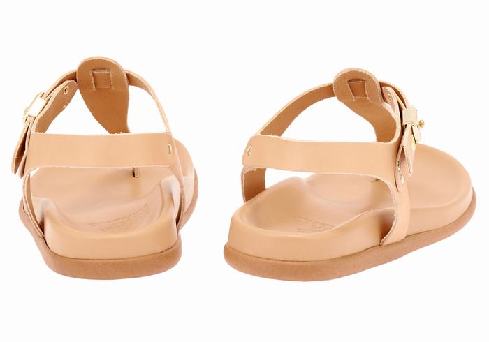 Beige Ancient Greek Sandals Alki Flip Flop Women Back-Strap Sandals | VTK3583YF