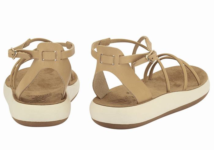 Beige Ancient Greek Sandals Anastasia Comfort Women Ankle Strap Sandals | PVA9610BI