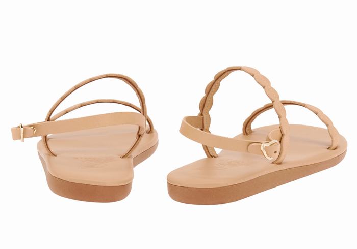 Beige Ancient Greek Sandals Aroula Women Back-Strap Sandals | IYU9014FN