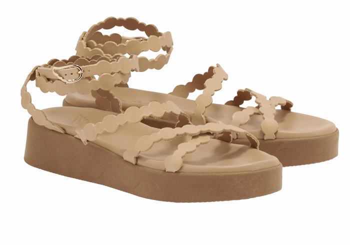 Beige Ancient Greek Sandals Aspis Leather Women Platform Sandals | YIO6893XY