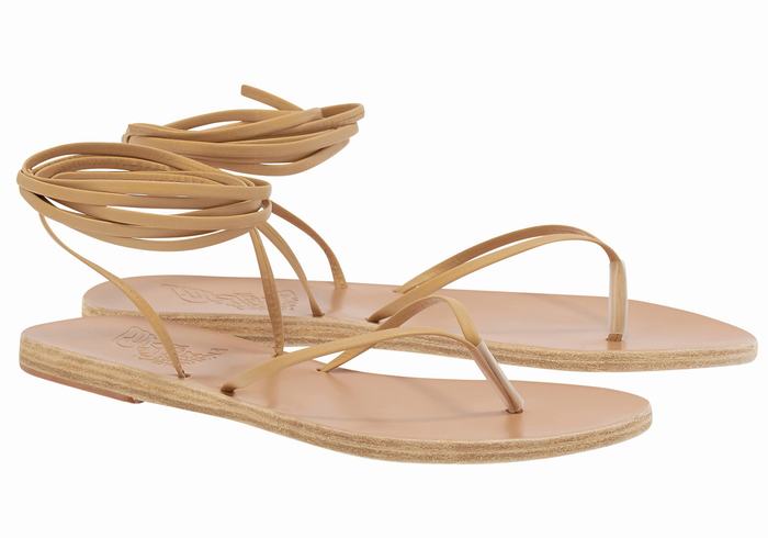 Beige Ancient Greek Sandals Celia Women Gladiator Sandals | KGS8135XZ