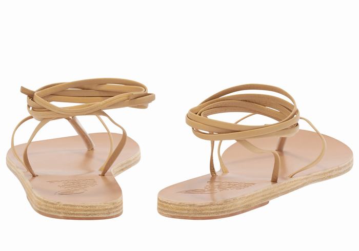 Beige Ancient Greek Sandals Celia Women Gladiator Sandals | KGS8135XZ