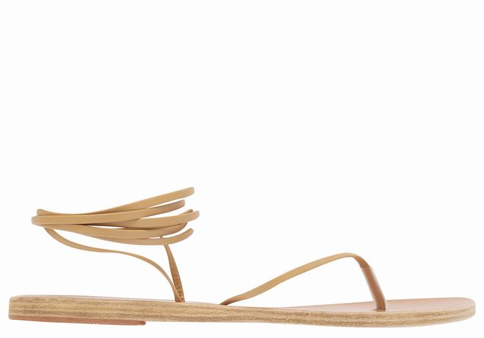 Beige Ancient Greek Sandals Celia Women Gladiator Sandals | KGS8135XZ