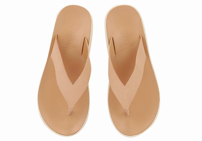 Beige Ancient Greek Sandals Charys Comfort Women Flip Flops | HIP8741FY