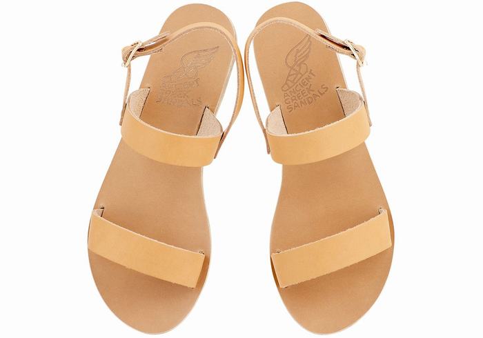 Beige Ancient Greek Sandals Clio Women Back-Strap Sandals | JEV6222BP