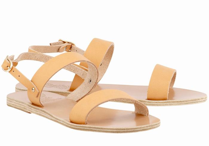 Beige Ancient Greek Sandals Clio Women Back-Strap Sandals | JEV6222BP