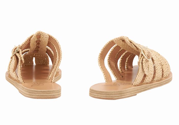 Beige Ancient Greek Sandals Cosmia Women Fisherman Sandals | MEE10044SH