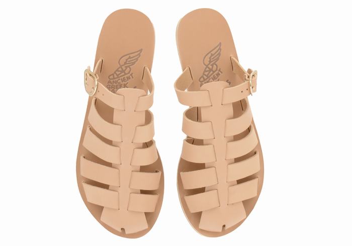 Beige Ancient Greek Sandals Cosmia Women Fisherman Sandals | AWS2358UI