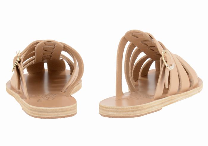 Beige Ancient Greek Sandals Cosmia Women Fisherman Sandals | AWS2358UI