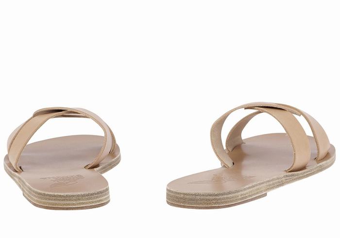 Beige Ancient Greek Sandals Desmos Women Slide Sandals | MXX4846NG