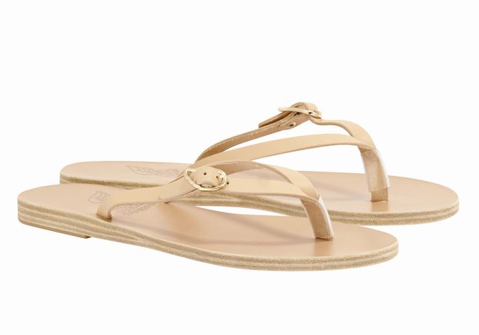 Beige Ancient Greek Sandals Dihalo Leather Women Flip Flops | LCJ6797LF