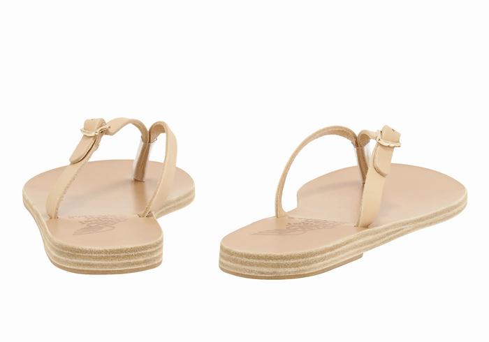 Beige Ancient Greek Sandals Dihalo Leather Women Flip Flops | LCJ6797LF