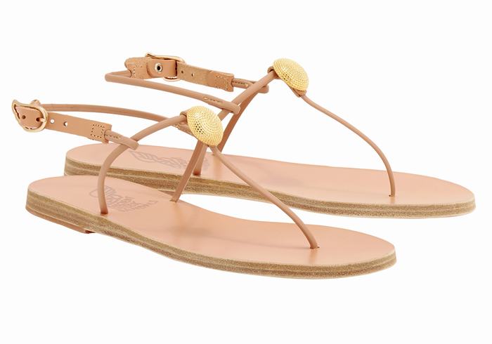 Beige Ancient Greek Sandals Dimitra Flip Flop Women Back-Strap Sandals | HEW7114GU