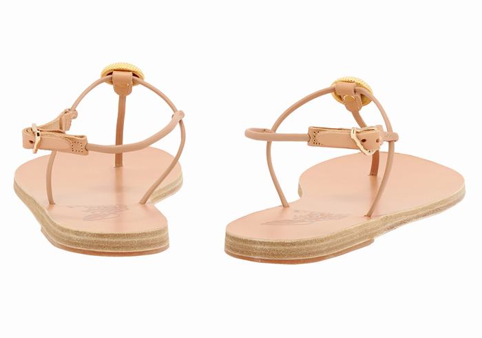 Beige Ancient Greek Sandals Dimitra Flip Flop Women Back-Strap Sandals | HEW7114GU