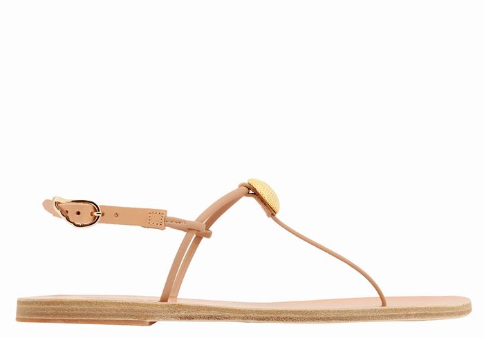 Beige Ancient Greek Sandals Dimitra Flip Flop Women Back-Strap Sandals | HEW7114GU