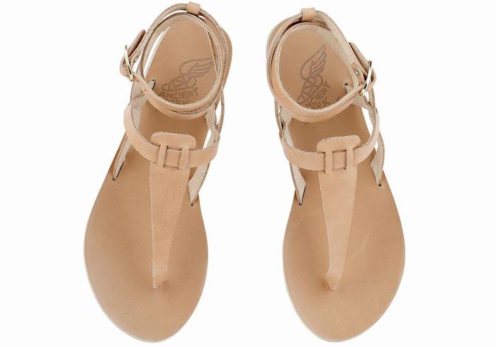 Beige Ancient Greek Sandals Estia Leather Women Ankle Strap Sandals | XFP1017HP