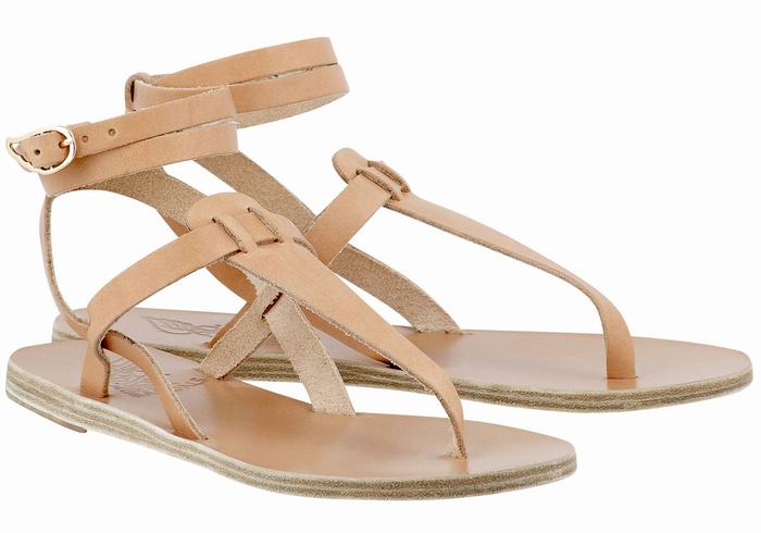 Beige Ancient Greek Sandals Estia Leather Women Ankle Strap Sandals | XFP1017HP