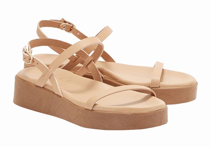 Beige Ancient Greek Sandals Evriali Leather Women Platform Sandals | TDJ7665WX