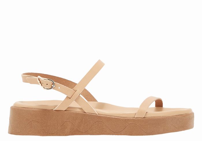 Beige Ancient Greek Sandals Evriali Leather Women Platform Sandals | TDJ7665WX