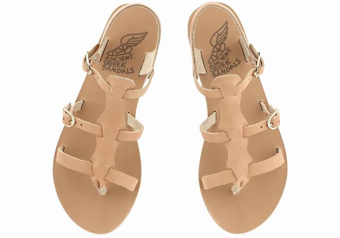 Beige Ancient Greek Sandals Grace Kelly Leather Women Casual Sandals | VUT6290OU