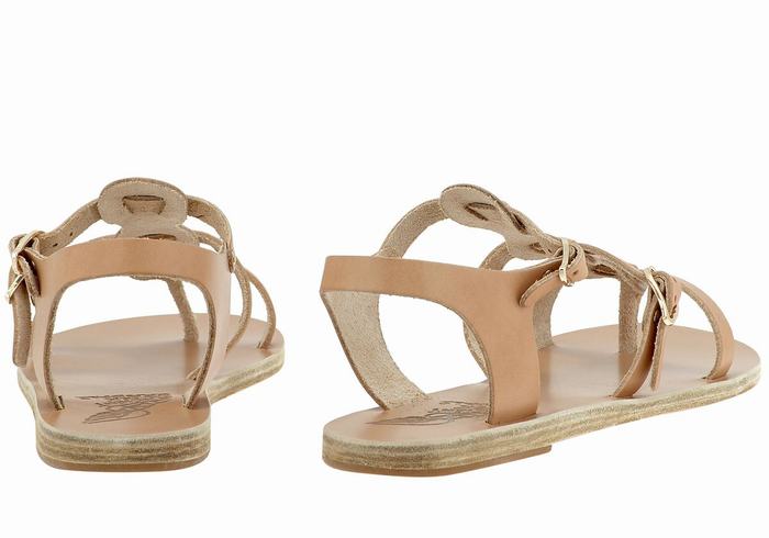 Beige Ancient Greek Sandals Grace Kelly Leather Women Casual Sandals | VUT6290OU