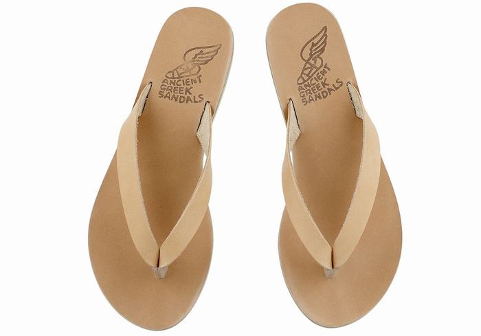 Beige Ancient Greek Sandals Hera Leather Women Flip Flops | MSJ971CD