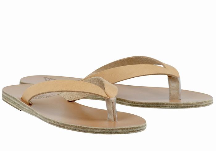 Beige Ancient Greek Sandals Hera Leather Women Flip Flops | MSJ971CD