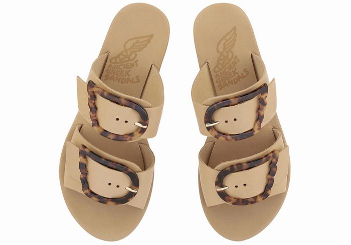 Beige Ancient Greek Sandals Iaso Women Slide Sandals | PXR166AL