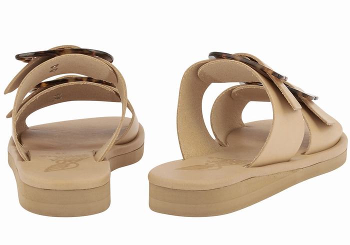 Beige Ancient Greek Sandals Iaso Women Slide Sandals | PXR166AL